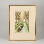 1738 8507 Färglitografi